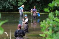 University students get hands-on experience monitoring Kinnickinnic River in River Falls in advance of dam removal project 