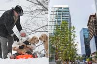 Booming Sun Belt city revealed as America’s top pet-friendly rental market
