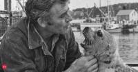 In 1971, a Maine fisherman rescued a baby seal and spoke to him every day. 7 years later, that seal began talking back in his own voice