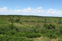 Dedication Planned For Historical Marker At Namekagon Barrens Wildlife Area