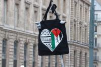Belgian university rectors condemn government deadlock over Gaza scholarship students