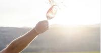 Eight standout wines to celebrate a summer that's quickly slipping away