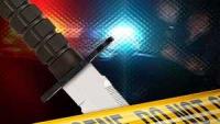 One arrested after stabbing in Western North Carolina, officials say