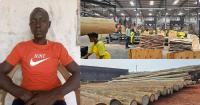 Employee Collapses and Dies While Working at Miro Forestry Factory in Tonkolili, Company Responds