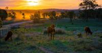 The freezing Queensland town named Australia's top tourism spot for 2026