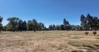 Help Me Ben: Families at Billings cemetery want answers as dry grounds worsen