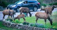 Colorado Parks and Wildlife pulling back the curtain to give people a look inside the agency