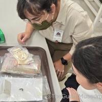 Museum Stories that Shape Us: When a nail became a fishhook