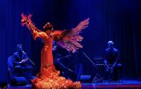 Puerto Flamenco Brings the Raw Energy of Sevilla to Three Bosnian Cities