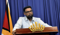 Massive investment required to address power supply woes -says President Ali