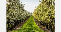 French fresh produce sector targets new markets and climate adaptation