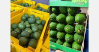 "Demand for Tanzanian avocados is so high that exporters can’t keep up"