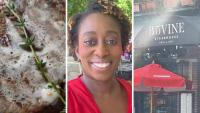 Florida Woman Goes To Steakhouse. Then The Steak Is So Bad She Brings It Home For Her Dog: ‘Whoever Recommended This…Clearly They Hate Me’