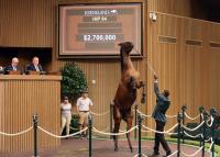 $2.8-Million Gun Runner Colt on Top as Keeneland September Yearling Sale Blasts Off
