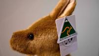 ‘Un-Australian’ prices? The challenge of selling Australian-made
