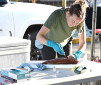 Western Pacific scientists chart research needs for reopened fisheries