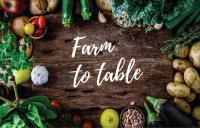SVG to expand tourism with Farm-to-Table experience