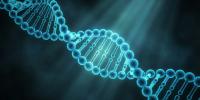 Scientists identify DNA regions tied to binge eating, including one near a well-known obesity gene