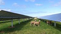 Renewable energy czar proposes national standard to quell farmer insurance fears