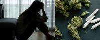 Teen Cannabis Surveys May Be Missing Rise in Diagnosed Disorder, Study of 637,000 Adolescents Finds