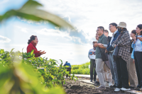 China trials more resilient crop varieties