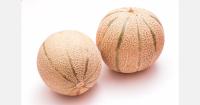 UK heatwave supports outdoor cantaloupe crop in Devon