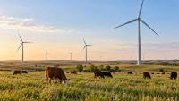 Ferrell family from Kansas earns 50% of their income from wind with 50 turbines on 2,833 hectares since 2005