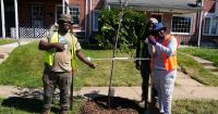'We plant trees for public health': Baltimore Tree Trust adding 1,000 new trees citywide this fall
