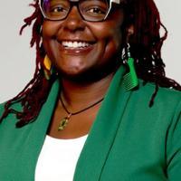 Minneapolis council members report