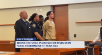 Bronx TikToker arraigned on murder charges in fatal stabbing of 17-year-old