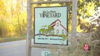 3 places to visit in Vermont’s Lake Champlain Islands
