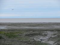 Alaska judge clears way for gold mining within national park