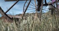 One of Wyoming's treasured small mountain communities celebrates its 150th birthday