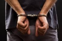 Russian National Pleads Guilty to Smuggling U.S. Aerospace Goods to Russia