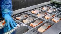 Scientists say 1,222 food-packaging chemicals raise health risks, and many replacements go untested