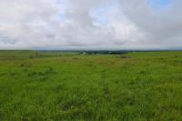 How Often Are Farmers Using Cover Crops?