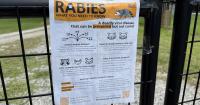 Rabies alert issued for Hillsborough County after confirmed case in cat