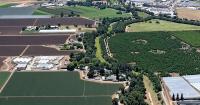 Judge orders halt to construction of ICE detention center in California