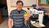 SIU Carbondale researchers name new microbe after the university