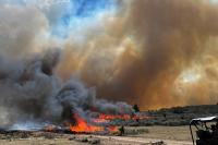 Wyoming's Moonshine Fire devours 500 acres, with minimal containment