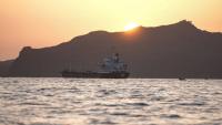 Yemen’s Gate of Tears: How another critical waterway became Iran’s wild card