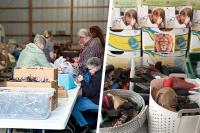 10,000 Donated Eyeglasses Help Bring Clearer Vision