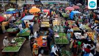 India’s retail inflation rose to 4.8% in August, oil fuels rate hike bets