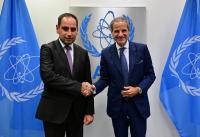 Armenia and the IAEA discussed the extension of the Metsamor Nuclear Power Plant (ANPP) and the selection of a new nuclear power plant model