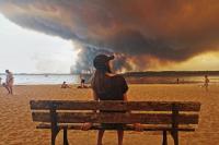 We should be more scared of climate change destroying humanity than AI