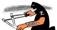 Private Capex Up 7% in FY25, Driving Investment Growth