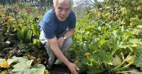 'We need more allotments' - Expert says North East plots can combat climate change
