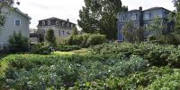 The Blitz Is On: Finding Life Among City Farm’s Vegetable Beds
