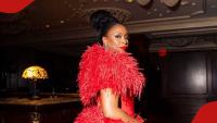 Chimamanda Ngozi Adichie says she wouldn't like to return to Nigeria after son’s death