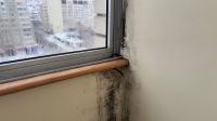 Prevent mould and condensation with simple German method that's free